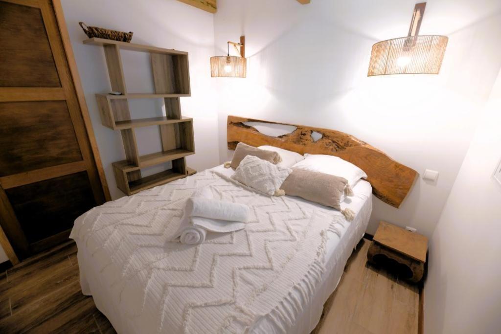Cocotier, Elegant T3 Avec Jardin Tropical Daire Sainte-Anne Dış mekan fotoğraf