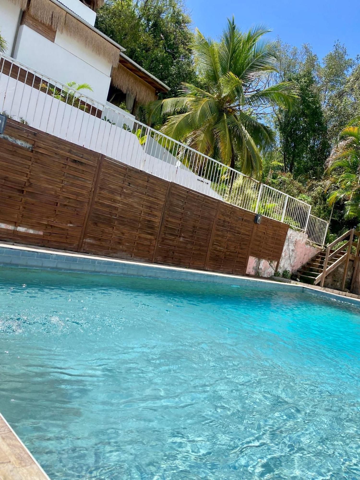 Cocotier, Elegant T3 Avec Jardin Tropical Daire Sainte-Anne Dış mekan fotoğraf